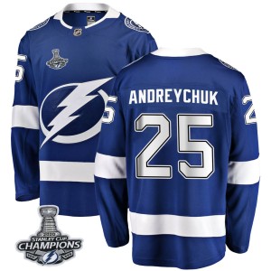 Dave Andreychuk Men's Fanatics Branded Tampa Bay Lightning Breakaway Blue Home 2020 Stanley Cup Champions Jersey